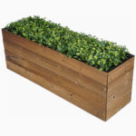 main
